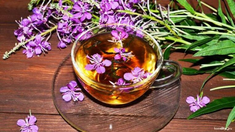 Decoction of leaves and flowers of fireweed for the treatment of male diseases