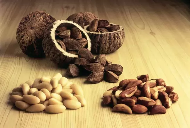 brazilian walnuts for strength